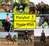ponyhof-reale welt.jpg (74348 Byte)